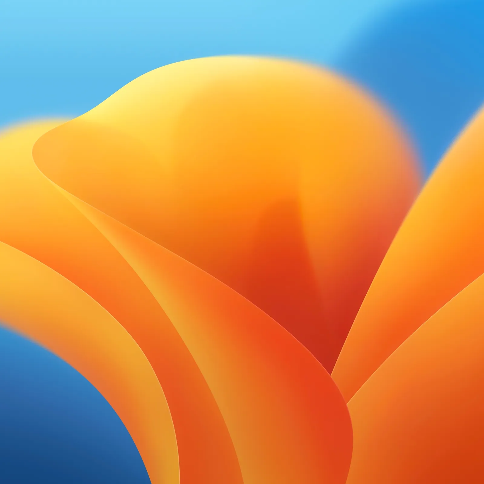 Ventura light gradient background